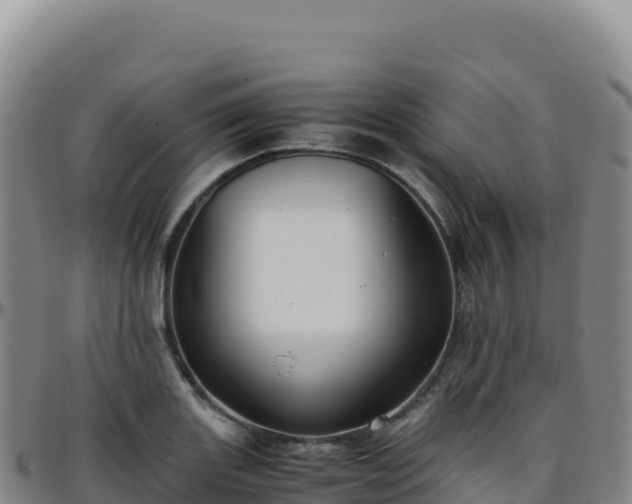 X0000096481131200801311550