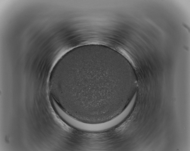 X0000096481132200801311550