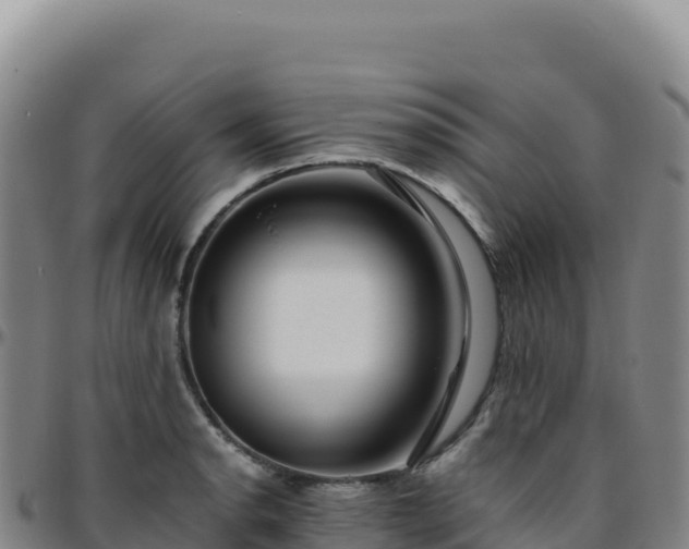 X0000096481134200801311550