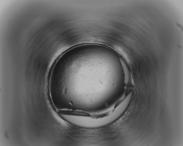 X0000096481136200801311550