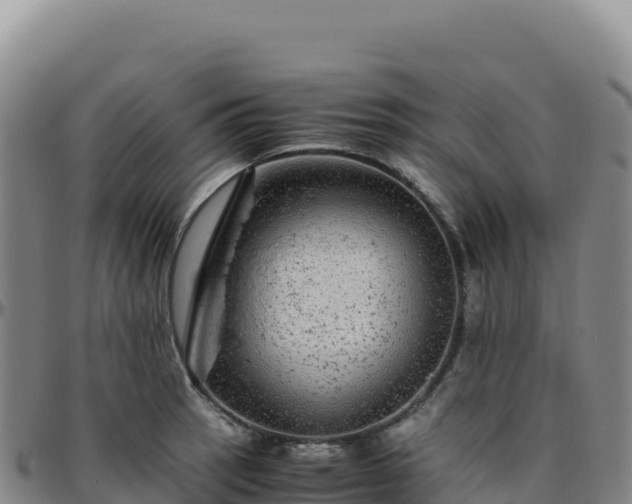 X0000096481137200801311550