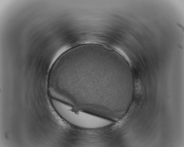 X0000096481138200801311550