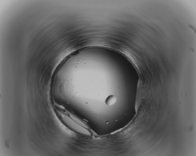 X0000096481139200801311550