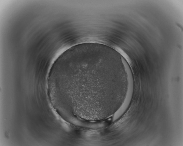 X0000096481144200801311550