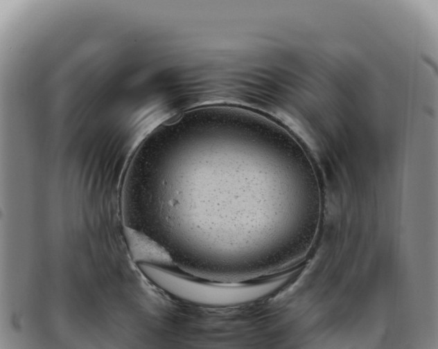 X0000096481145200801311550