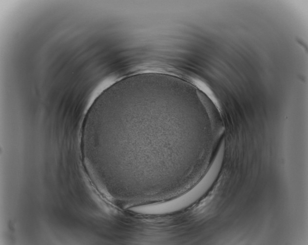 X0000096481146200801311550