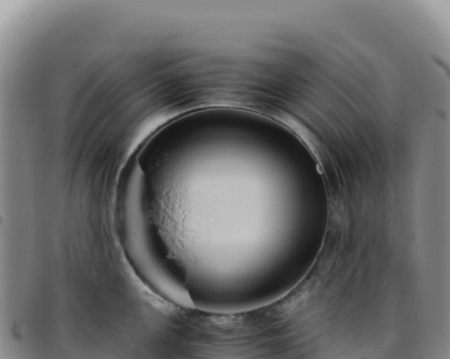 X0000096481147200801311550