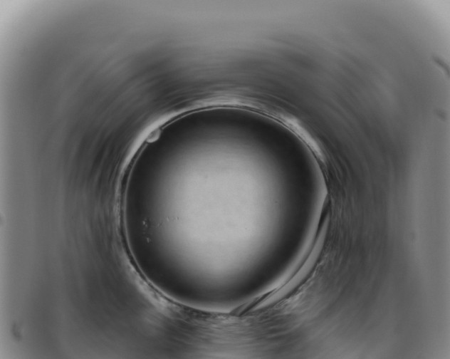 X0000096481148200801311550