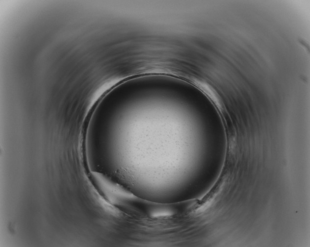 X0000096481149200801311550