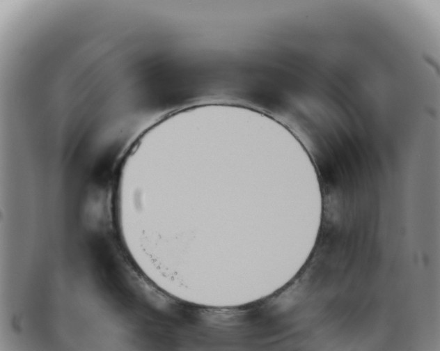 X0000096481150200801311550