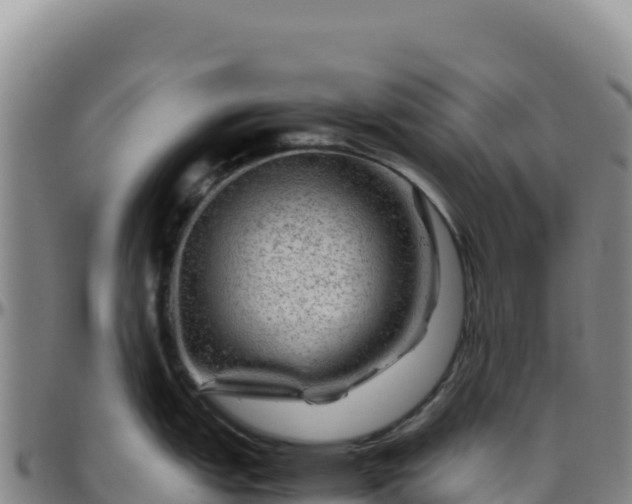 X0000096481151200801311551