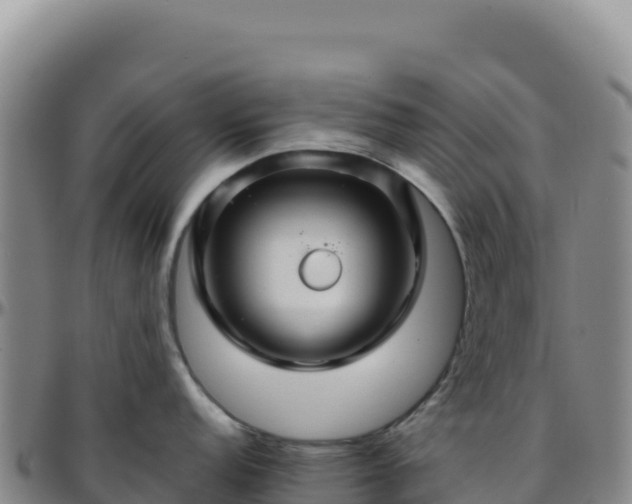 X0000096481152200801311551