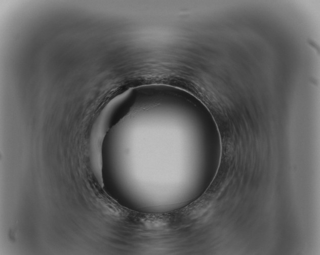 X0000096481153200801311550