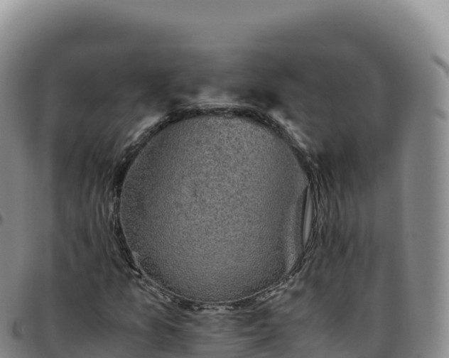 X0000096481157200801311550