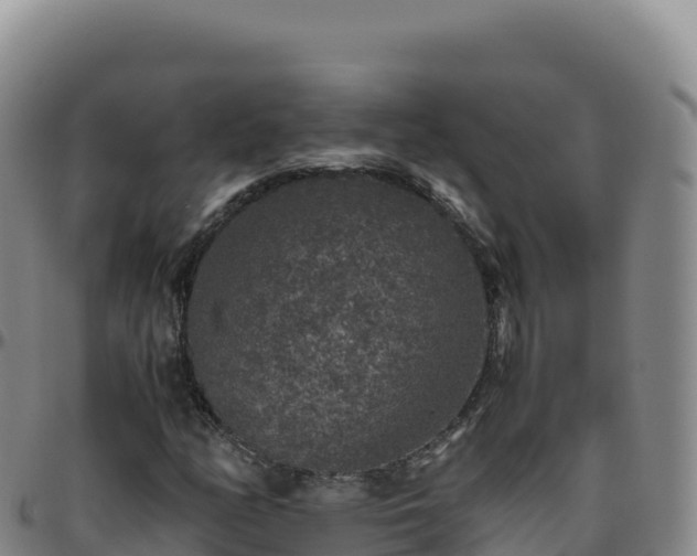 X0000096481158200801311550