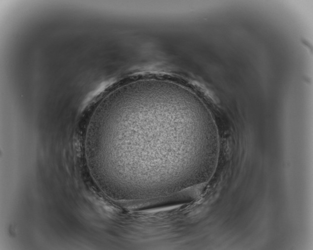 X0000096481159200801311550