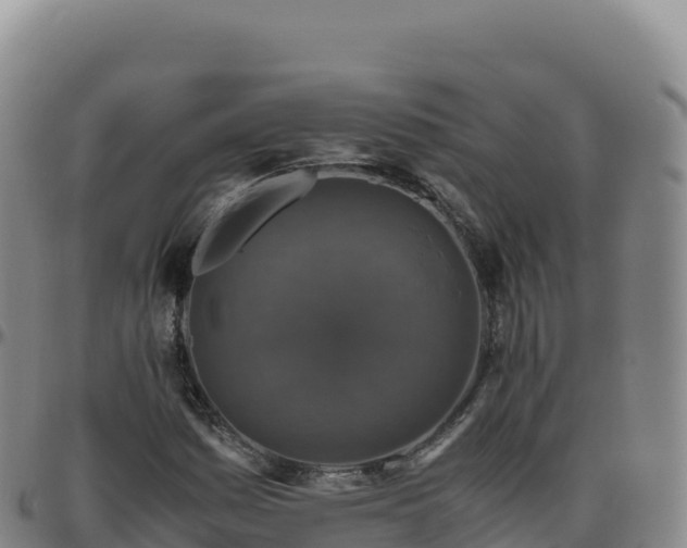 X0000096481161200801311550