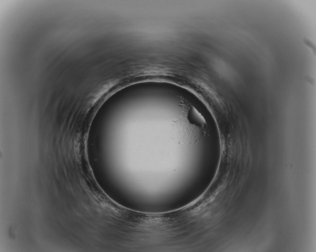 X0000096481162200801311550