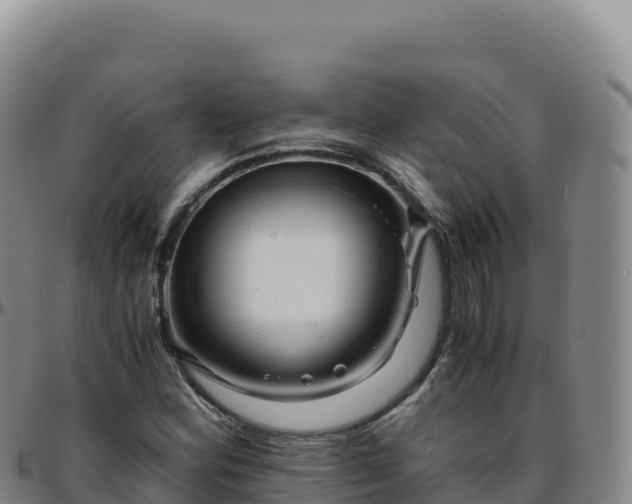 X0000096481164200801311550