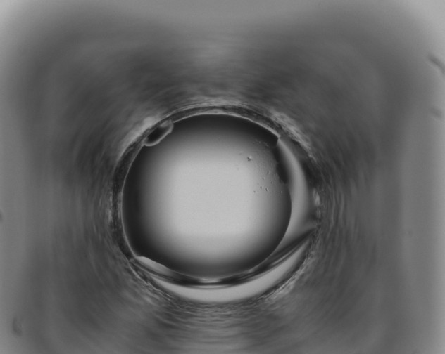 X0000096481165200801311550