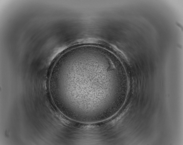 X0000096481166200801311550