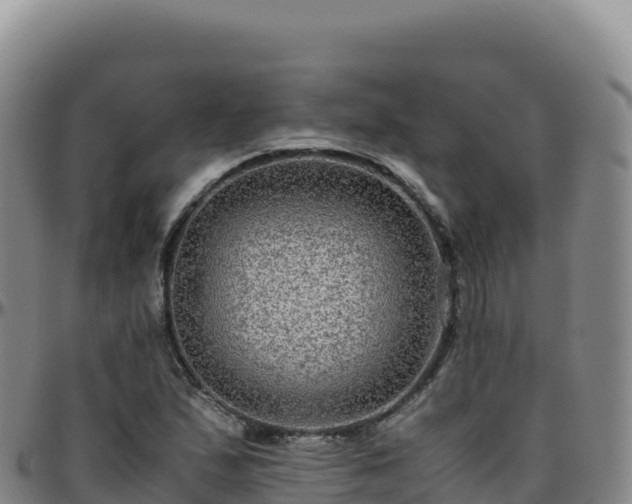 X0000096481167200801311550