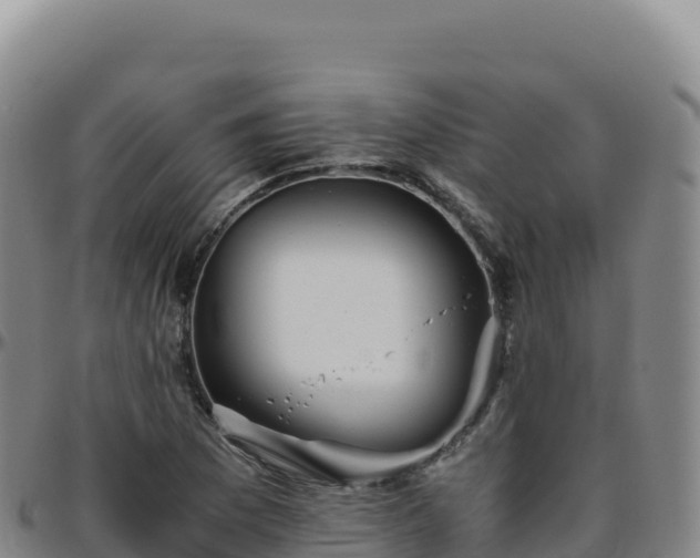 X0000096481169200801311550