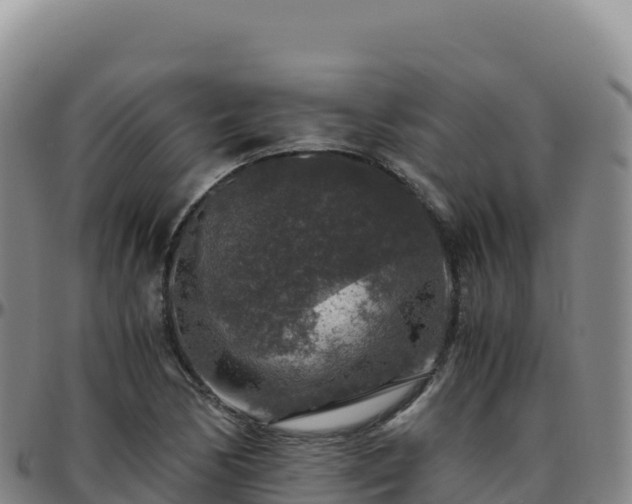 X0000096481170200801311550