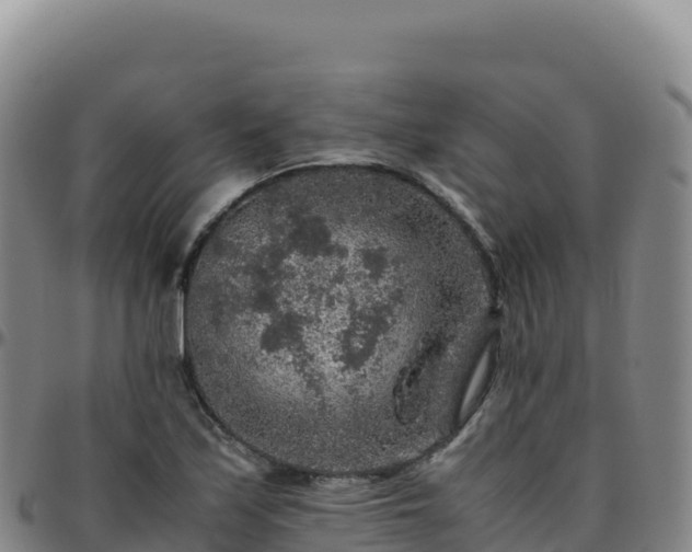 X0000096481171200801311550