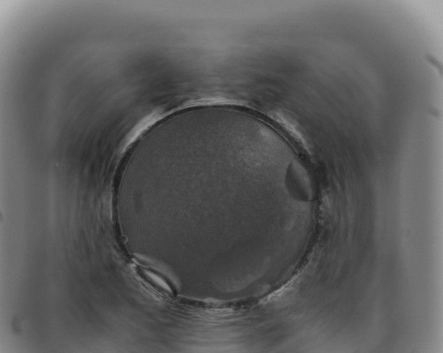 X0000096481173200801311550