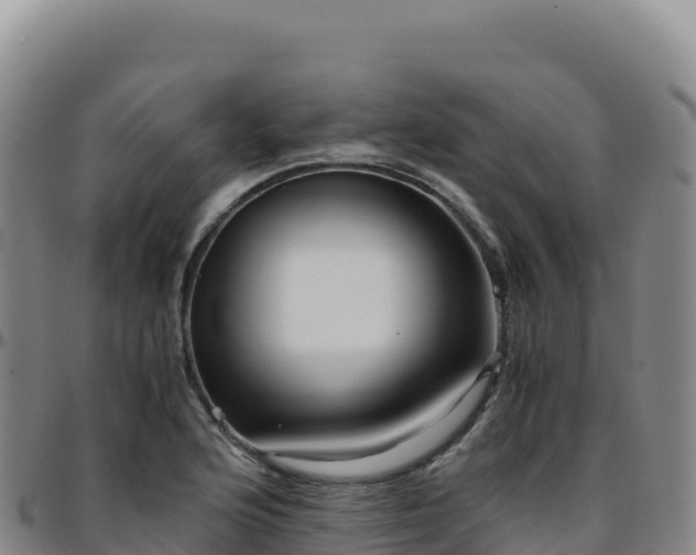 X0000096481176200801311550