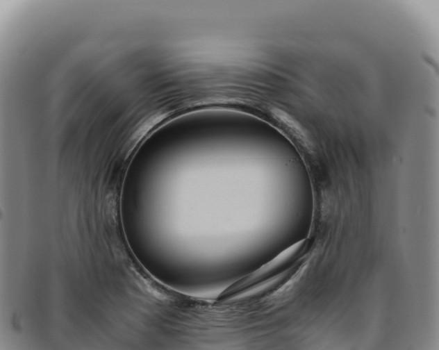 X0000096481177200801311550