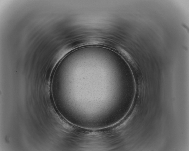 X0000096481178200801311550