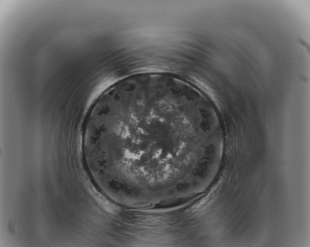 X0000096481179200801311550