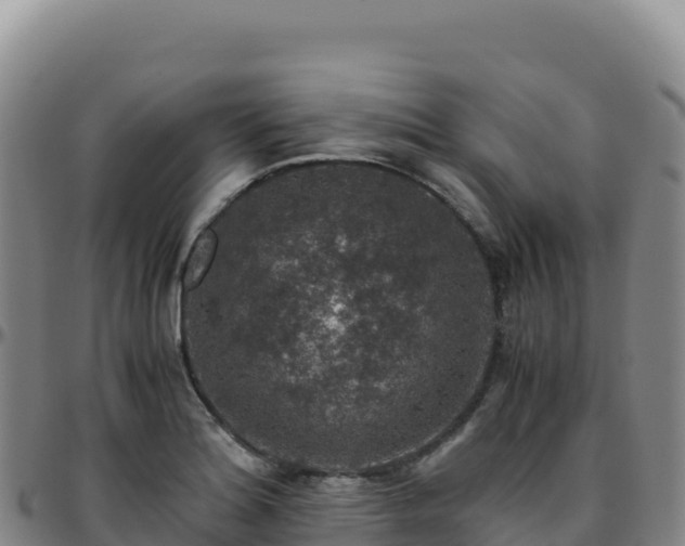 X0000096481180200801311550