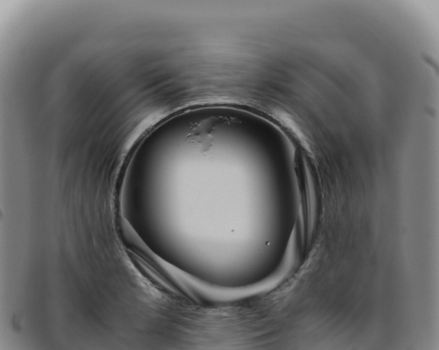 X0000096481181200801311549