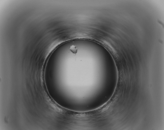 X0000096481182200801311549