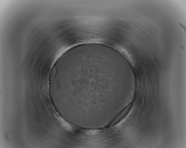 X0000096481184200801311549