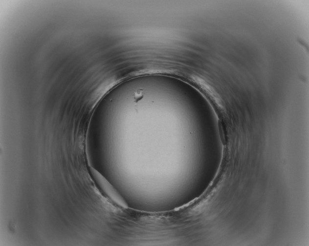 X0000096481185200801311549