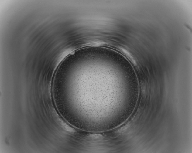 X0000096481186200801311549