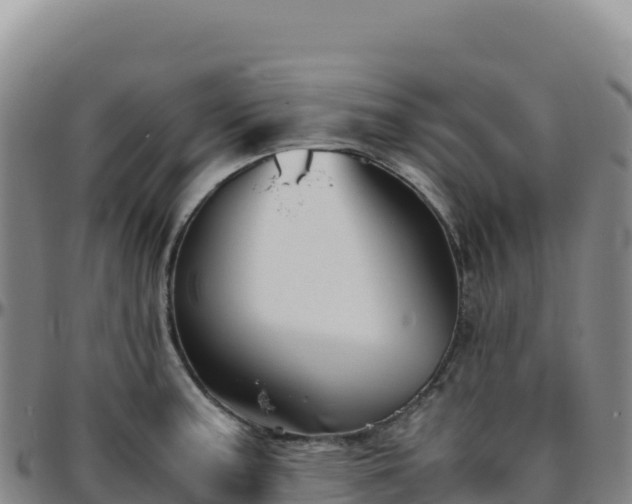 X0000096481187200801311549