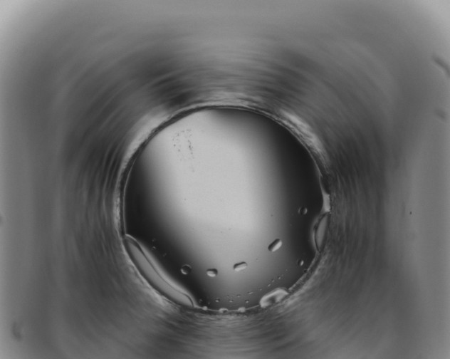 X0000096481188200801311549