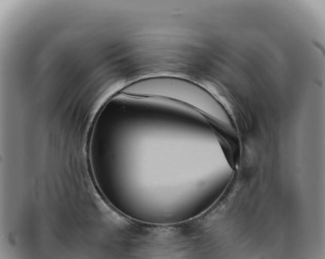 X0000096481189200801311549