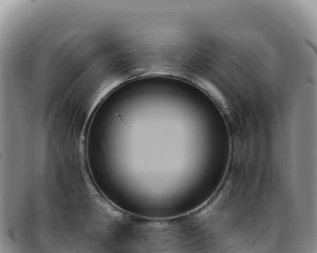 X0000096481190200801311549