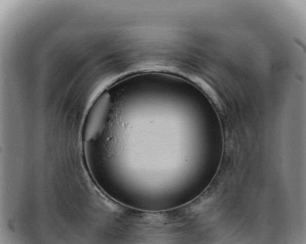 X0000096481191200801311549