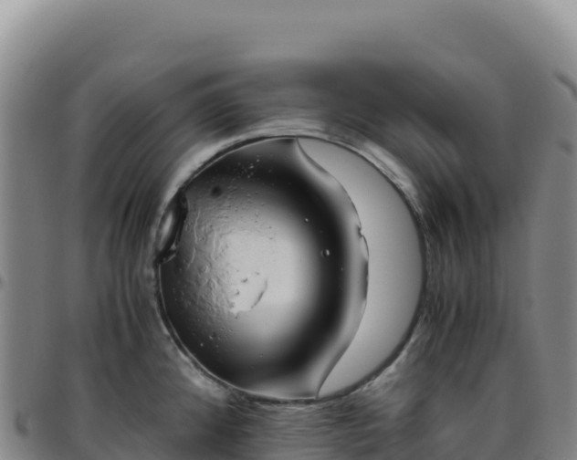 X0000096481192200801311549