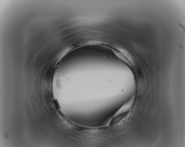 X0000096481193200801311549