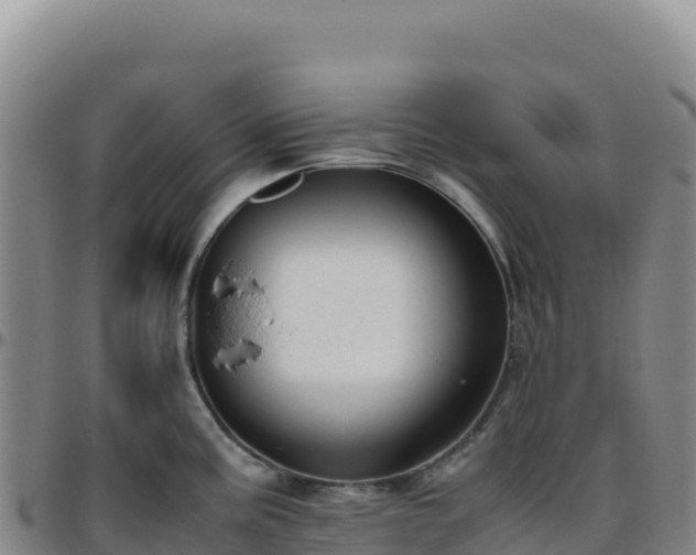 X0000096481195200801311549