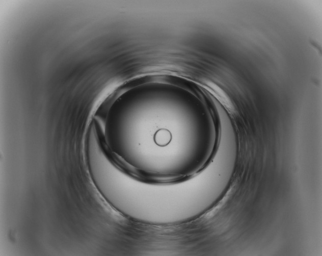 X0000096481196200801311549