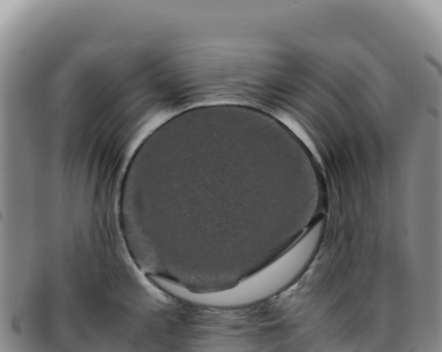 X0000096481197200801311549